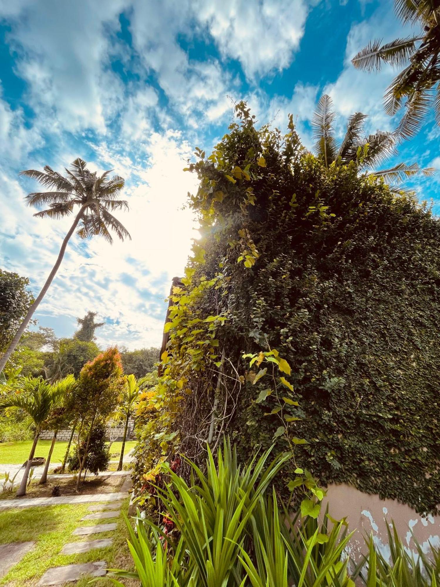 Pedidi Penida Hostel Batununggul Exteriér fotografie